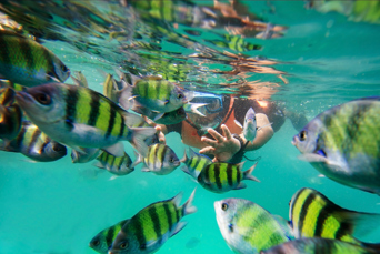 malaysia - langkawi_snorkling_01