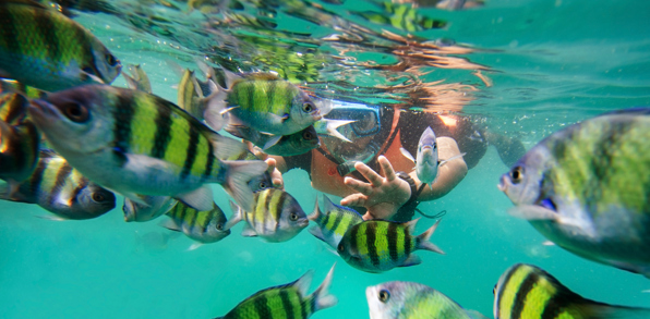 malaysia - langkawi_snorkling_01