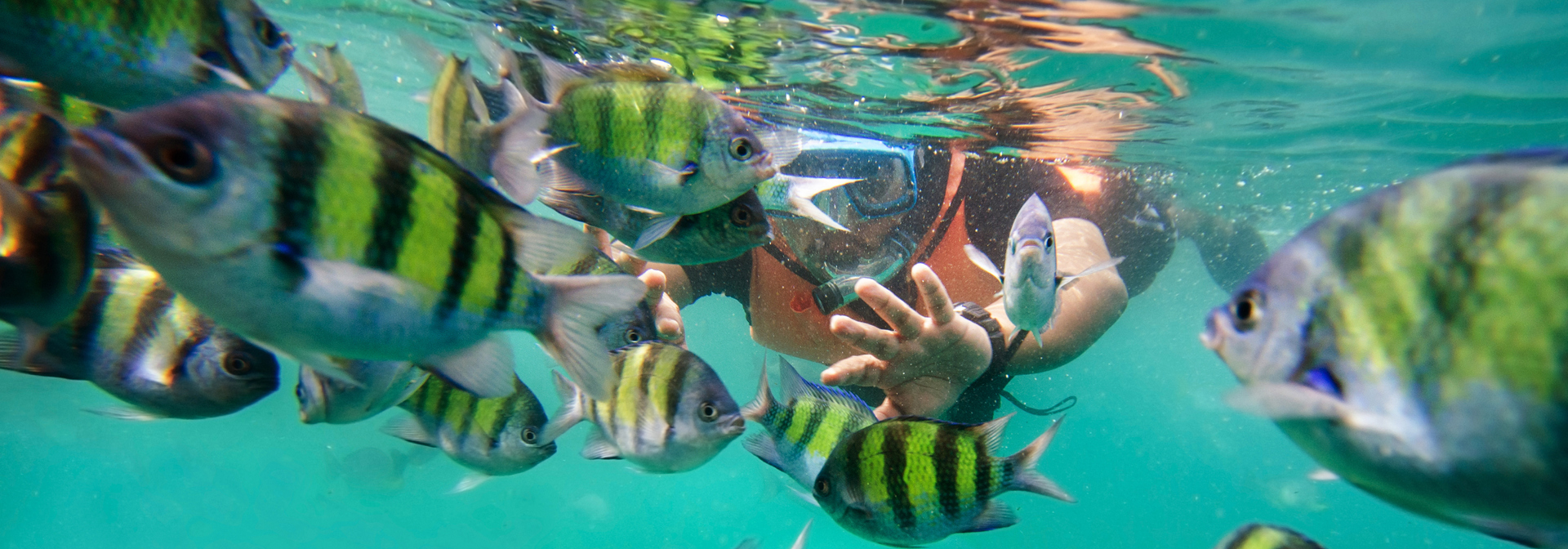 malaysia - langkawi_snorkling_01