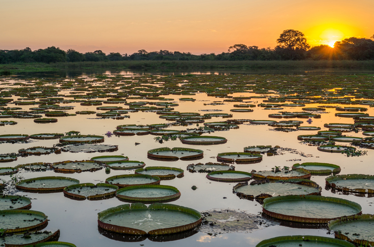 brasilien - pantanal_vaadland_solnedgang_01