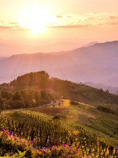 Thaton Doi Tung Solnedgang 568848958