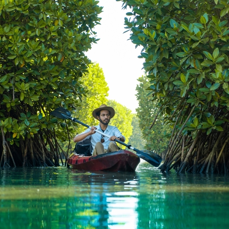 Mand Kayaker Gennem Mangrovetræer