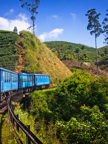 På en togrejse til Nuwara Eliya oplever vi alle aspekter af den smukke natur