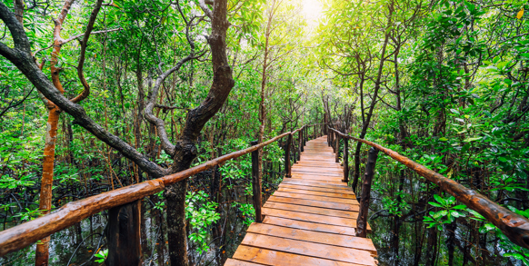 zanzibar_jozani_regnskov_04