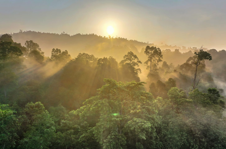 Borneo Sabah Regnskov 01 1474114253