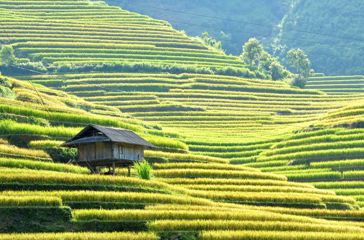 Laos Huse