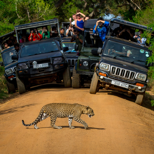 sri lanka - yala national park_01
