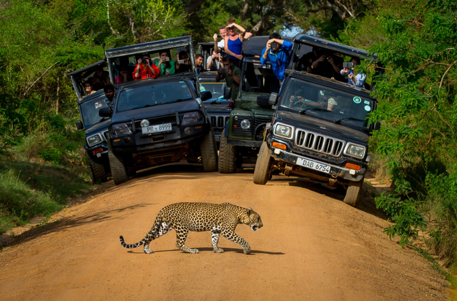 sri lanka - yala national park_01