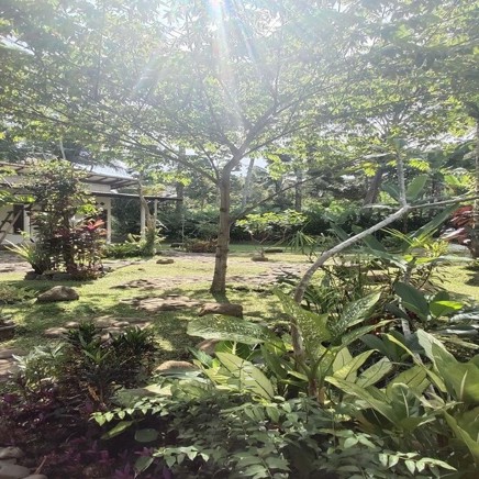 Java Ijen Hadi Homestay 04