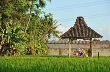 Område Ved Hotellet D'omah Hotel & Village Resort