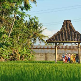 Område Ved Hotellet D'omah Hotel & Village Resort