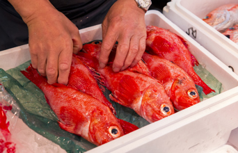 Kanazawa Omicho Fishmarket Gi 474179818
