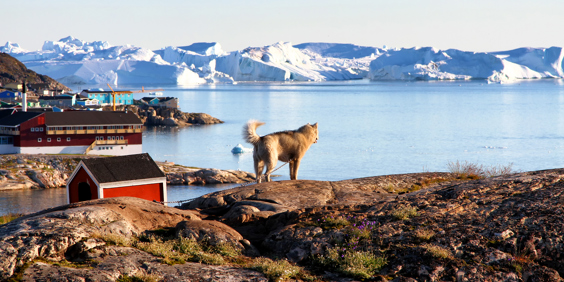ilulissat_by_06
