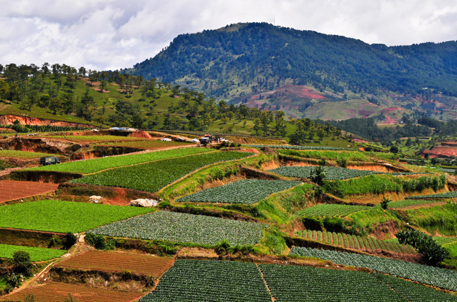Vietnam - dalat_mark_01