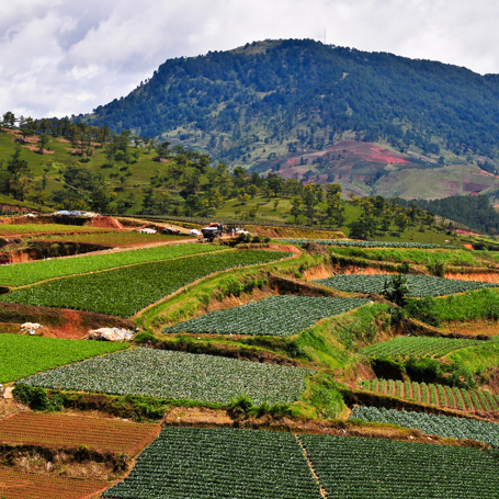 Vietnam - dalat_mark_01