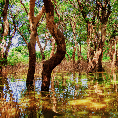 cambodia - tonle sap_05