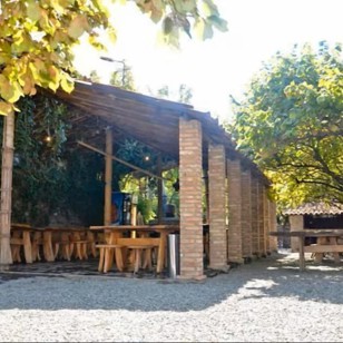 Chateau Kvareli Wine Yard 2