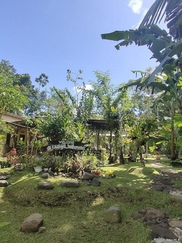 Java Ijen Hadi Homestay 03