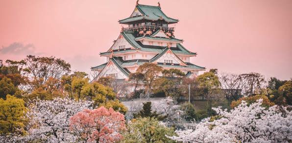 Osaka Castle Sakura