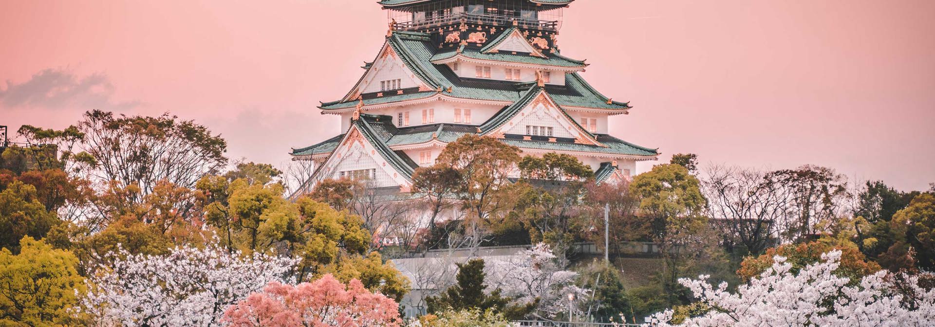 Osaka Castle Sakura