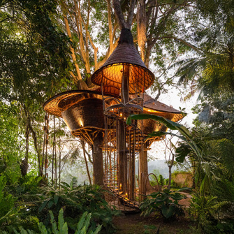 TREEHOUSE 01