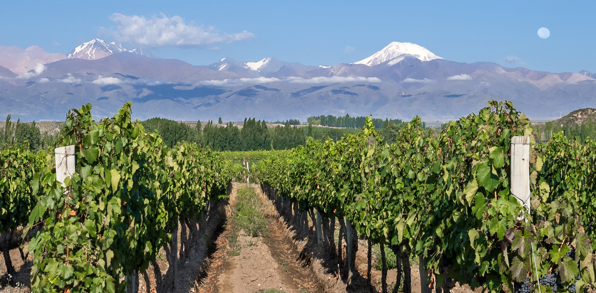 I krydser grænsen til Argentina og oplever et landskab med både bjerge og vin.