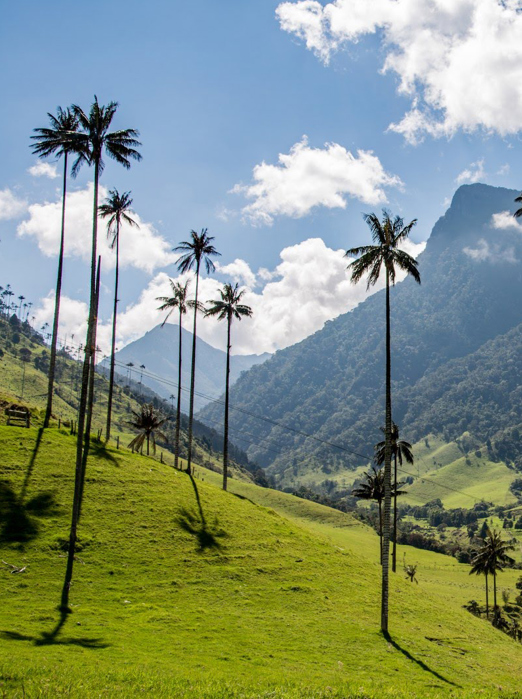 colombia - cocora1