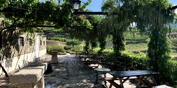 Quinta Roeda_04