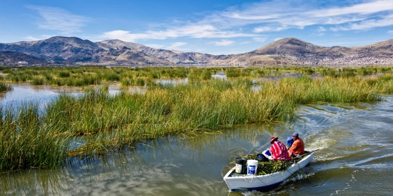 peru - titicaca_baad_02