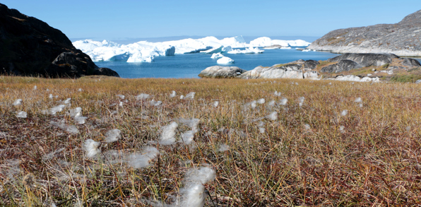 Oqaatsut_landsskab_01