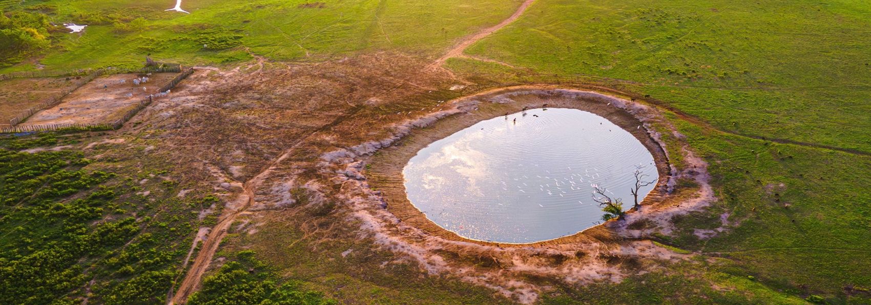 Colombia Casanare Hato La Aurora Natural Waterhole