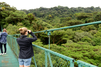 costa rica - monteverde_jungle_haengende_bro_04
