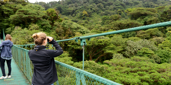 costa rica - monteverde_jungle_haengende_bro_04