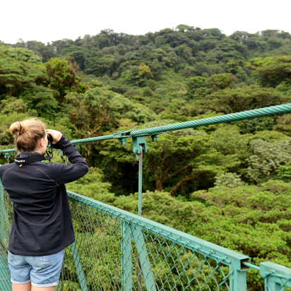 costa rica - monteverde_jungle_haengende_bro_04