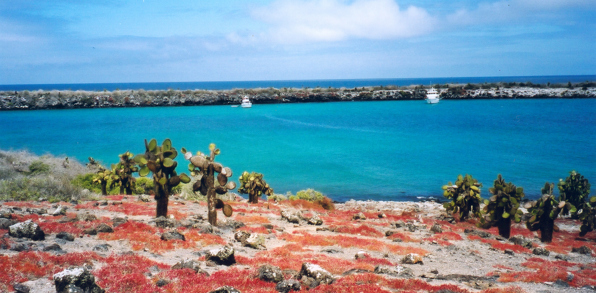 galapagos_landskab_01