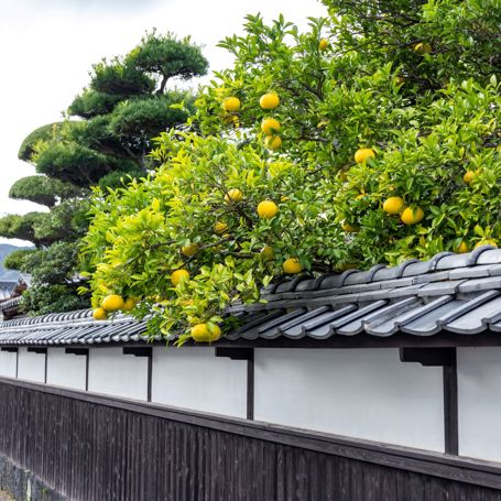 Hagi Castle Town 2607943647