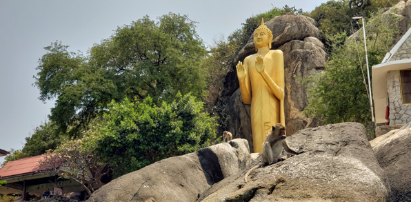Hua Hin Aber På Statue