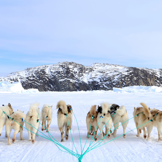 Ilulissat Hundeslaede 2449353237