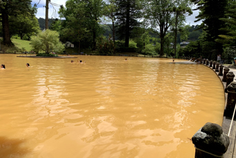 Azorerne_Furnas_Terra Nostra_02