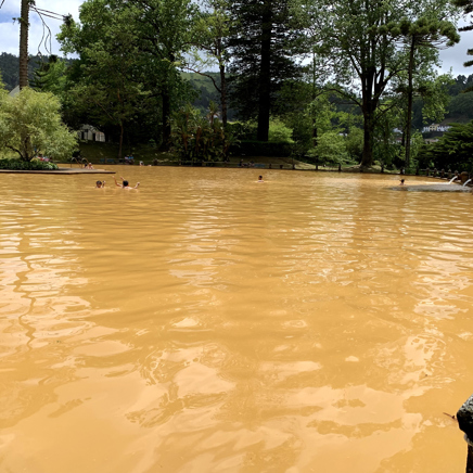 Azorerne_Furnas_Terra Nostra_02