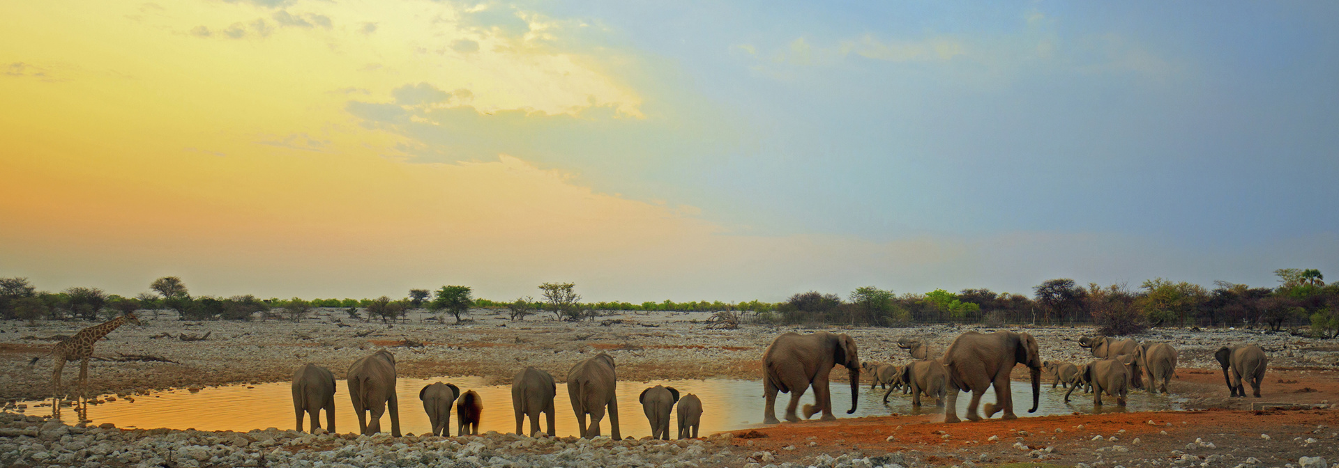 etosha_nationalpark_01