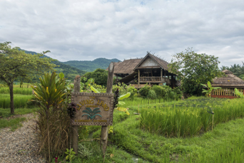 laos - luang prabang_land farm_05