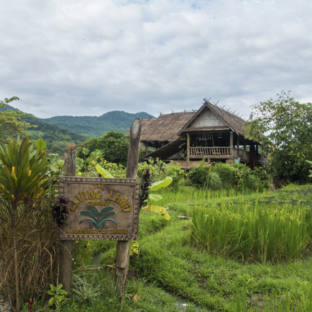 laos - luang prabang_land farm_05