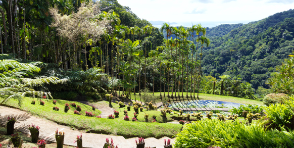 Martinique