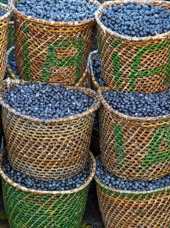 brasilien - brasilien_acai_01