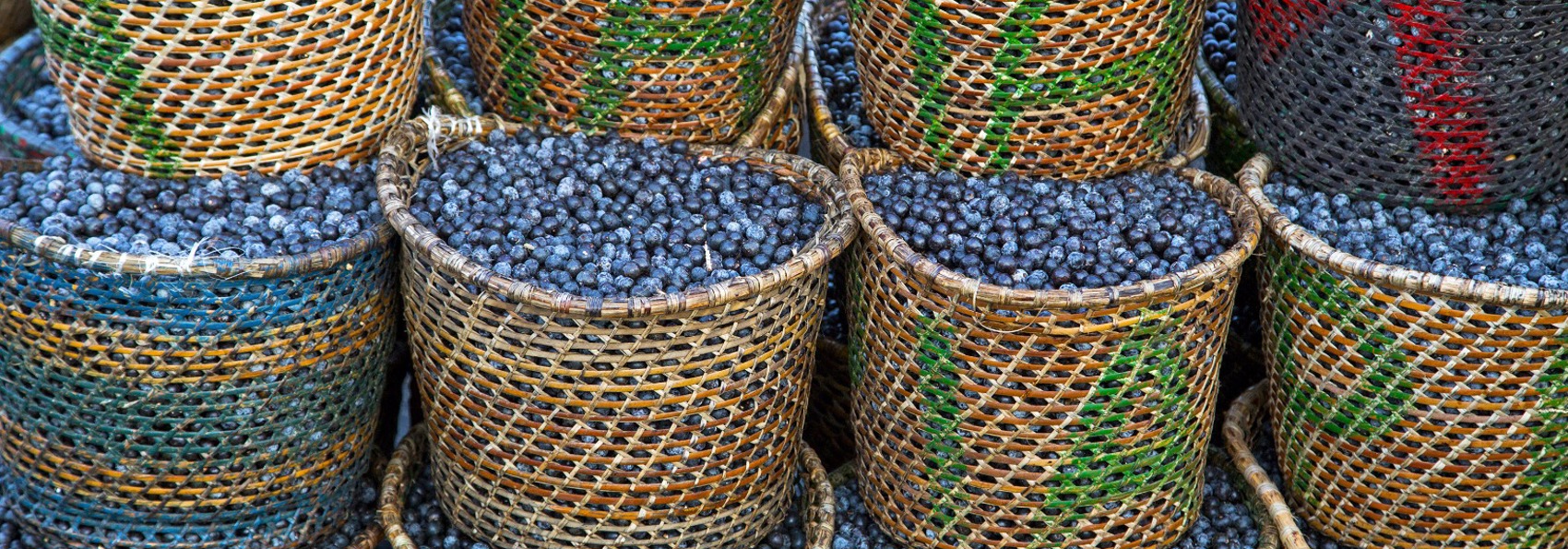 brasilien - brasilien_acai_01