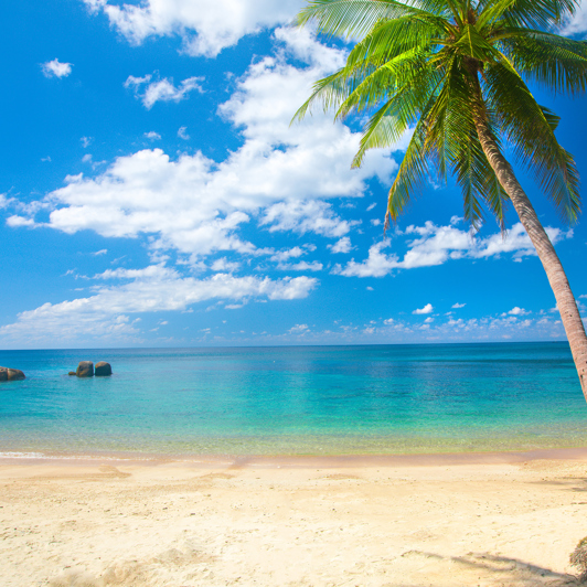 thailand - koh tao_strand_07