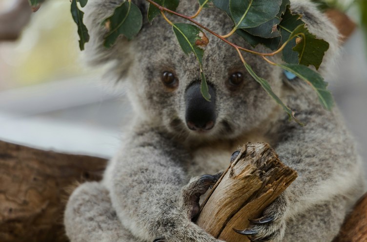 Roland Kay Smith Gbkpo Rjecg Unsplash