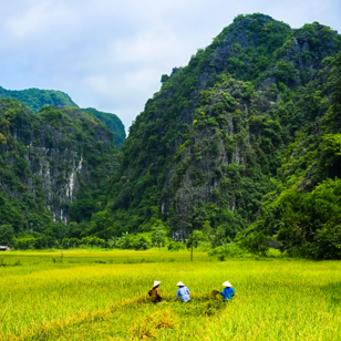 vietnam - ninh binh_05