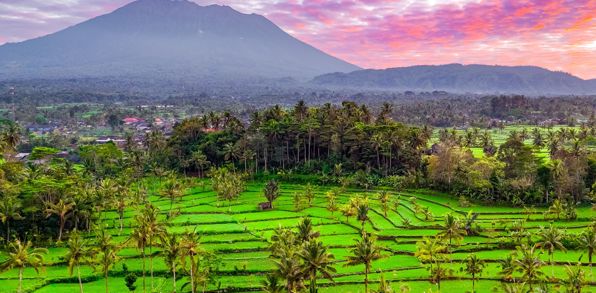 Vores rejse begynder på smukke Bali...